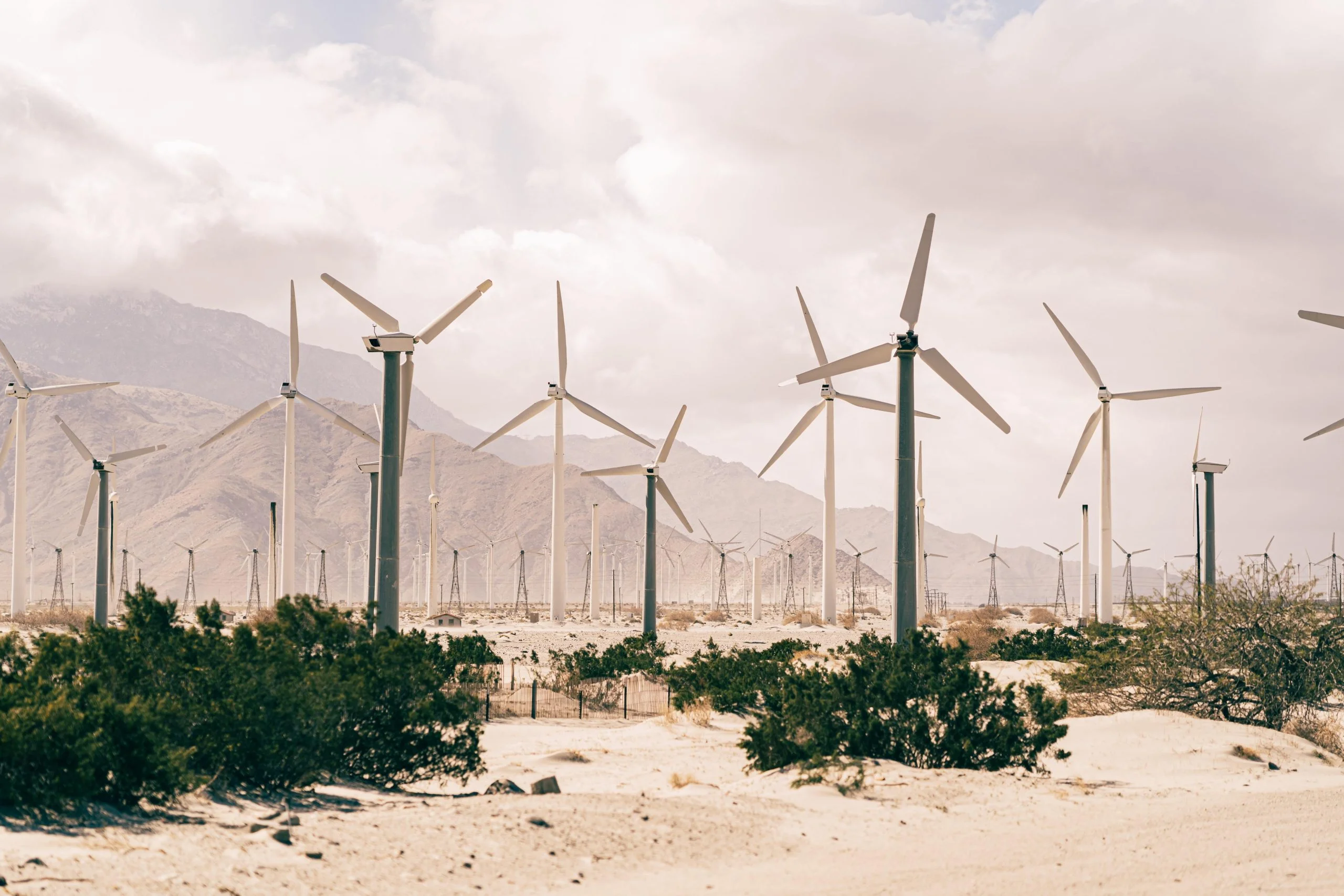 Redwolf + Rosch Sustainability